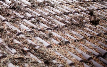 Heathcote roof cleaning companies