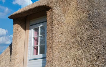 Heathcote thatch roof disadvantages