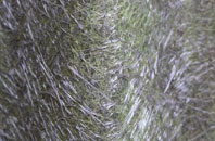 Heathcote fibreglass roof work